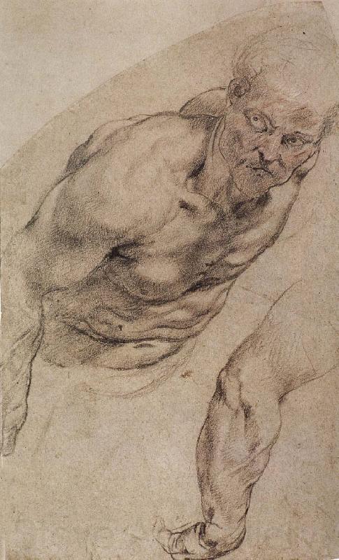 Peter Paul Rubens Portrait of naked man Germany oil painting art